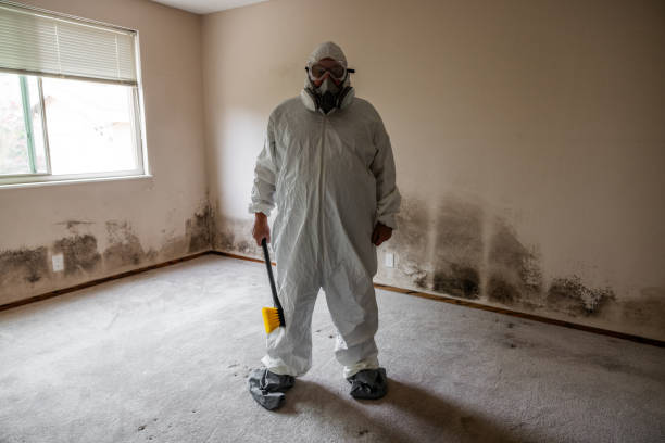 Trusted Milroy, PA Mold Removal Experts